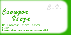 csongor vicze business card